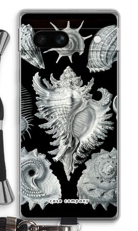 Haeckel Prosobranchia