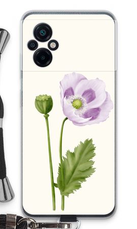 Purple poppy