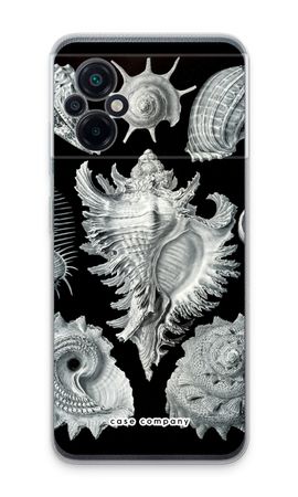 Haeckel Prosobranchia