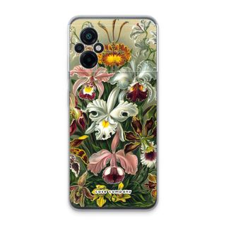 Haeckel Orchidae