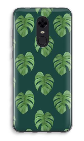 Monstera leaves