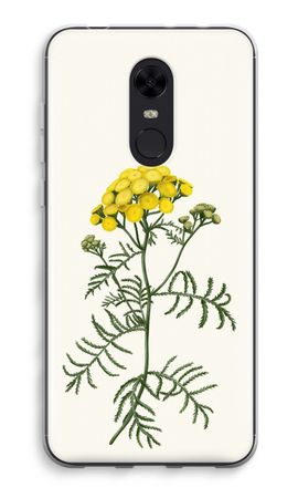 Tansy
