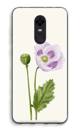 Purple poppy