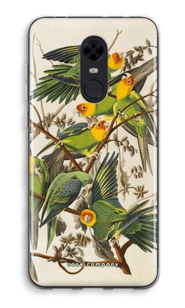 Carolina Parrot