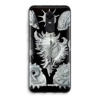 Haeckel Prosobranchia