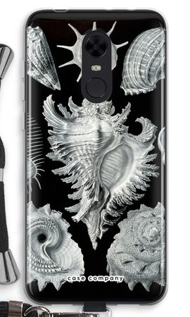 Haeckel Prosobranchia