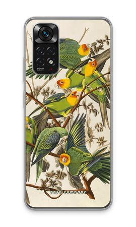 Carolina Parrot