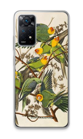 Carolina Parrot