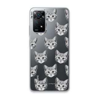 Kitten