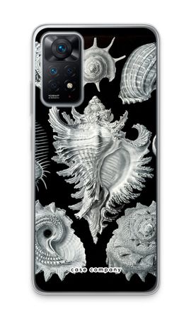 Haeckel Prosobranchia