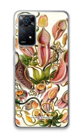 Haeckel Nepenthaceae