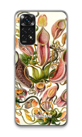 Haeckel Nepenthaceae