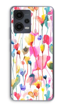 Wild Colorful Flowers