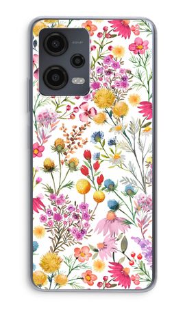 Delicate Plants and Flowers