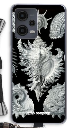 Haeckel Prosobranchia