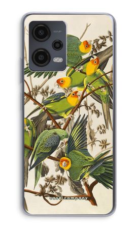 Carolina Parrot