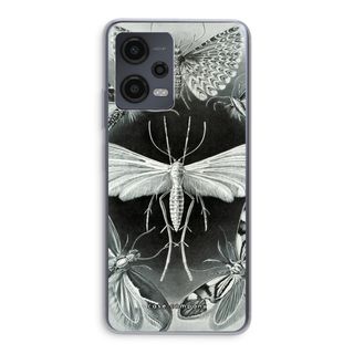 Haeckel Tineida