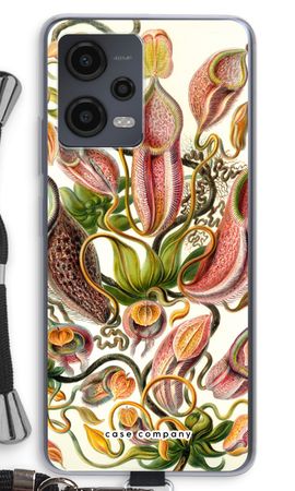 Haeckel Nepenthaceae