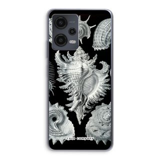 Haeckel Prosobranchia