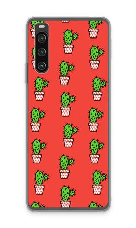 Mini cactus