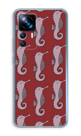 Seahorses