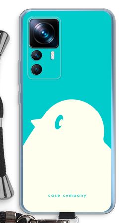 BIG Robin 2