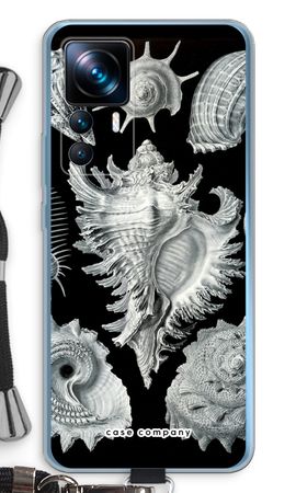 Haeckel Prosobranchia