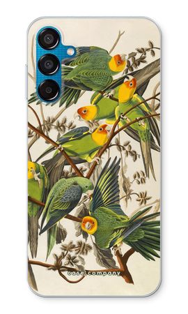 Carolina Parrot