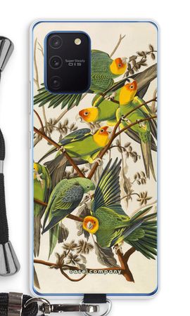 Carolina Parrot