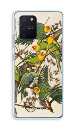 Carolina Parrot