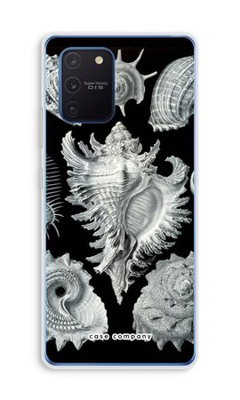 Haeckel Prosobranchia