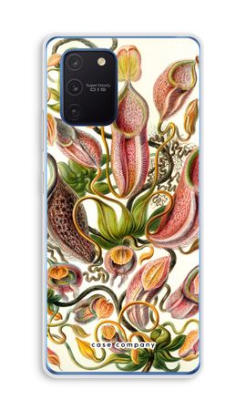 Haeckel Nepenthaceae