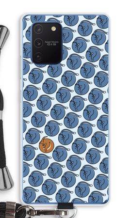 Cats and dog