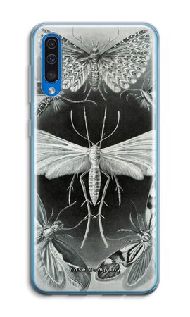 Haeckel Tineida