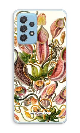 Haeckel Nepenthaceae