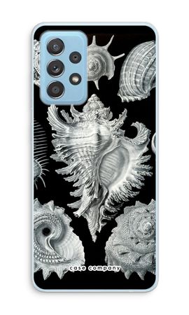 Haeckel Prosobranchia