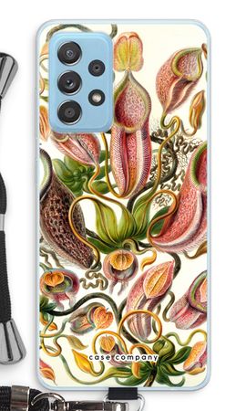 Haeckel Nepenthaceae