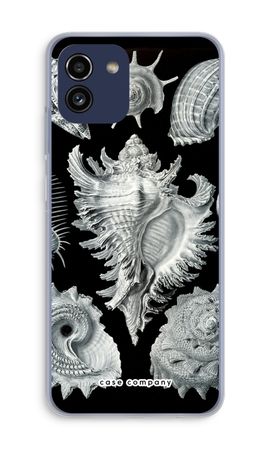 Haeckel Prosobranchia
