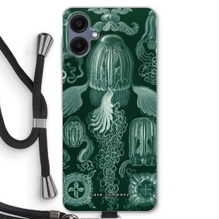 Haeckel Cubomedusae