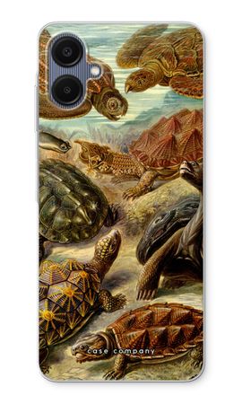 Haeckel Chelonia
