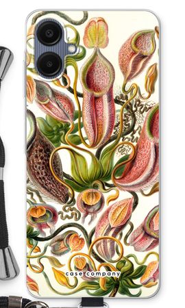 Haeckel Nepenthaceae