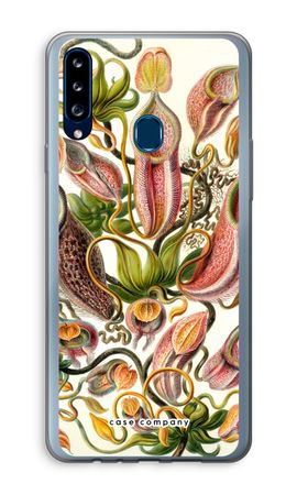 Haeckel Nepenthaceae