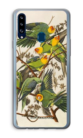 Carolina Parrot