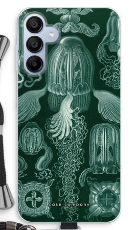 Haeckel Cubomedusae