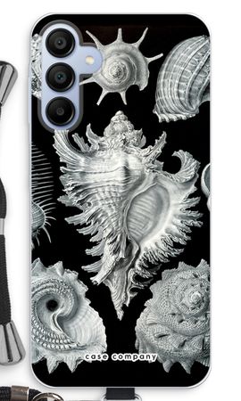 Haeckel Prosobranchia