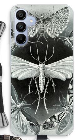 Haeckel Tineida