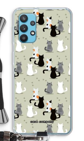 Cats