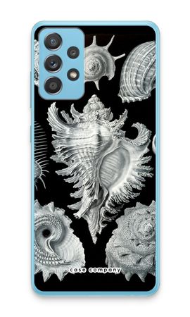 Haeckel Prosobranchia