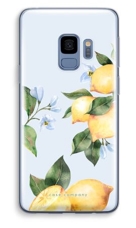 Orchard Sun