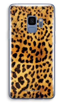 Cheetah